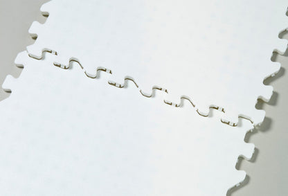 Winnwell Skateable Tiles - 10 Pack - Other Training Accessories